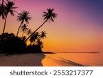 Summer with sunrise scene with  palm trees background as texture frame background