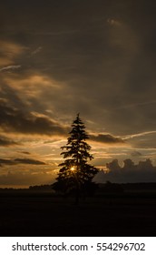 Summer sunset