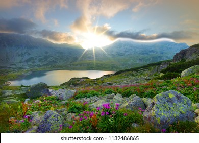 Summer Sunset Landscape With Lake And Mountain And Many Flowers In Retezat National Park