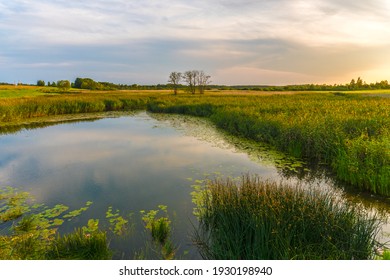 Summer Sunset Over Rural Pond Or Overgrown Lake