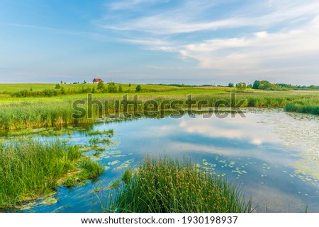 Summer sunset over rural pond or overgrown lake