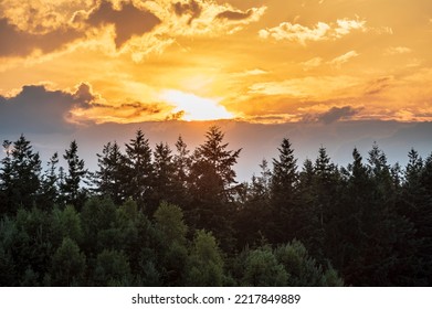 Summer Sunset Sky And Treetops In The Dutch Province Of Drenthe.