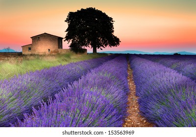 Summer Sunset In Valensole.Provence,France.