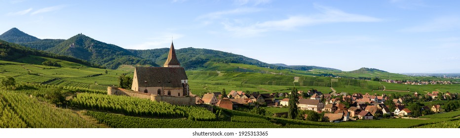 Summer sunset view of the medieval church of Saint-Jacques-le-Major in Hunawihr, small village between the vineyards of Ribeauville, Riquewihr and Colmar in Alsace, wine making region of France - Shutterstock ID 1925313365