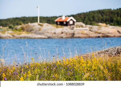 Summer In Sweden,  Wild Flowers And A Summer Home On The Swedish West Coast