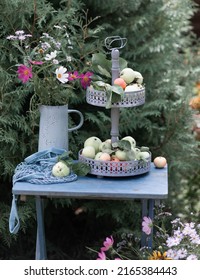 Summer Table Setting With Wildflowers On A Wooden Table. Farm Apples On A Beautiful Rustic Stand. Table Setting For A Wedding.
Breakfast In The Garden. Easter Still Life. Easter Table Setting.