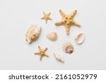 Summer time concept Flat lay composition with beautiful starfish and sea shells on colored table, top view.