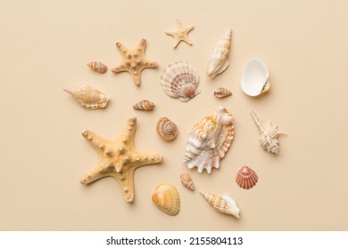 Concepto de verano Composición laica plana con hermosas estrellas de mar y conchas de mar sobre mesa de color, vista superior.