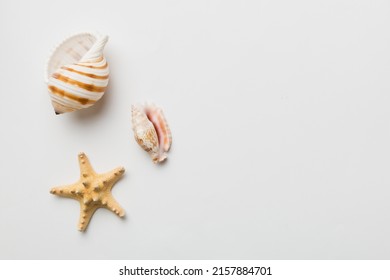 Summer time concept Flat lay composition with beautiful starfish and sea shells on colored table, top view with copy space for text.