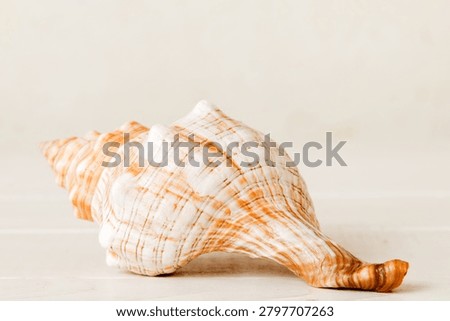 Summer time concept with sea shells or starfish on a table background with copy space for text.