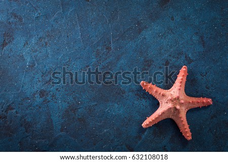 Summer time sea vacation background with star fish, marine rope on dark blue background