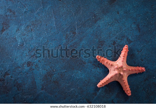 暗い青の背景に夏の海の休暇と星魚 マリンロープ の写真素材 今すぐ編集