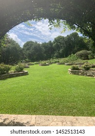 Summer Time In Zilker Park Austin, Texas 