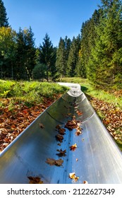 Summer Toboggan Run Strobl Made Of Stainless Steel With Trees In Autumn In The Forest With Spruces