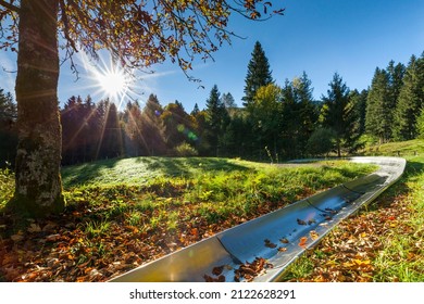 Summer Toboggan Run Strobl Made Of Stainless Steel With Trees In Autumn In The Forest With Spruces