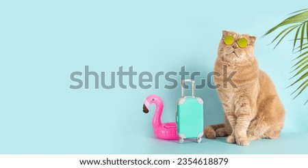 Summer travel concept banner. Tour operator promotion. Funny cat wearing sunglasses going on vacation with blue suitcase and flamingo rubber ring. Summer vibes. Cat tourist. Pet hotel. Copy space