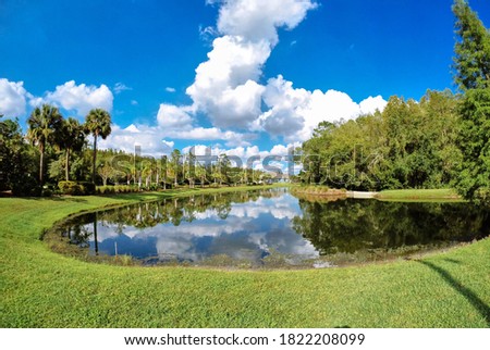 Summer tree, pond and white cloud in Florida