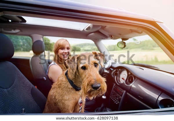 Summer trip with\
dog