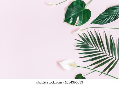 Summer tropical composition. Green tropical leaves and white flowers on pastel pink background. Summer concept. Flat lay, top view, copy space