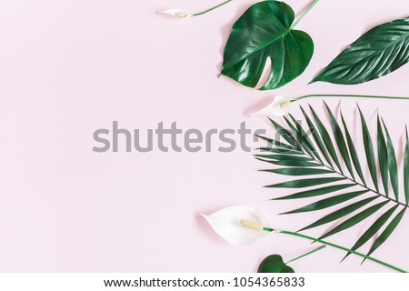 Summer tropical composition. Green tropical leaves and white flowers on pastel pink background. Summer concept. Flat lay, top view, copy space