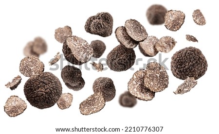 Summer truffles and truffle slices levitating or flying in the air on white background. Foto d'archivio © 