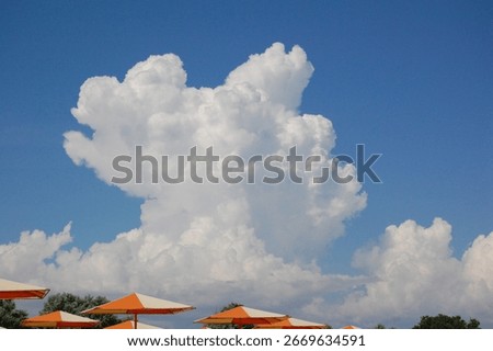 summer in the ukrainie 2012