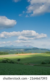 Summer upland fields and mountains
