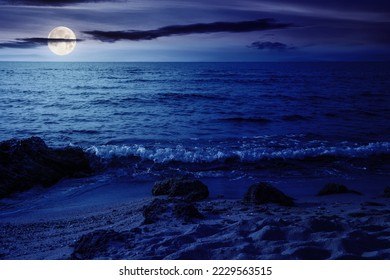 summer vacation background at the sea. clear water and sandy beach in full moon light. relax and recreation season at night
