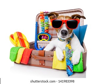 Summer Vacation Dog In Bag Full Of Holiday Items