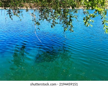 A Summer Vacation Lake Water Swimming Pond Lakeside River Riverbank Landscape