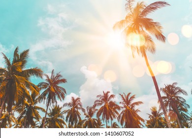 Summer vacation and nature travel adventure concept. Tropical palm tree with colorful bokeh sun light on sunset sky cloud abstract background. Vintage tone filter effect color style.