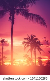 Summer vacation and nature travel adventure concept. Tropical palm tree on sunset sky and clouds abstract background. Vintage tone filter effect color style.