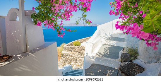 Summer vacation panorama, luxury famous Europe destination. White architecture in Santorini, Greece. Perfect travel scenery with pink flowers and cruise ship in sunlight and blue sky. Amazing view
