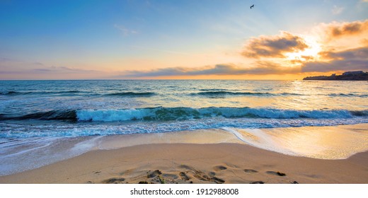 summer vacation at the seaside. beautiful seascape at sunrise. calm waves wash the golden sandy beach. fluffy clouds on the sky - Powered by Shutterstock