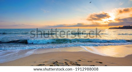 summer vacation at the seaside. beautiful seascape at sunrise. calm waves wash the golden sandy beach. fluffy clouds on the sky