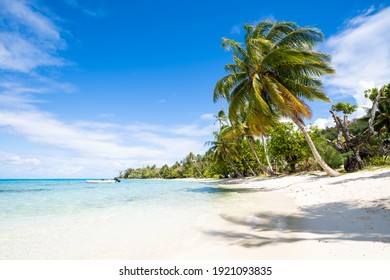 Summer vacation at a tropical beach in the South Seas