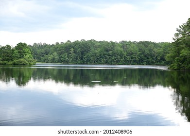 A summer view of lake at Sesquicentennial State Park, Columbia, SC,USA