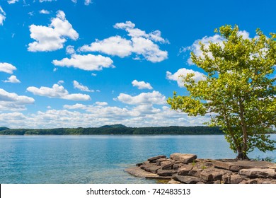Summer view of lake with a tree on foreground, beautiful forest on lake hillside shore and dramatic cloudscape sky.