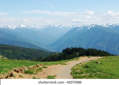 Summer view of mountains from a hiking trail at hurricane ridge, Olympic national park, Washington, USA