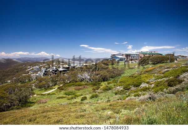 Summer View Mt Buller Village Victorian Stock Photo Edit Now 1478084933