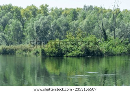 Summer view on the picturesque lake. Beautiful green lakeshore. Trees and plants near the water. Landscape on the natural park. Lush foliage and dense grove on the background.