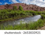 Summer View of the Red Cliffs While Walking Along the Wind River Trail in Dubois Town Park in Western Wyoming.