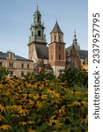 Summer view of Wawel Royal Castle in Krakow, Poland. Historical place in Poland. Flowers on foreground. Beautiful sightseeing with Wawel Royal Castle and colorful flowers in Krakow, Poland