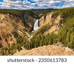 Summer View of Yellowstone Falls in Yellowstone National Park Wyoming.