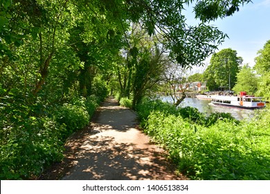 Summer Walk On The Thames Path Near Richmond