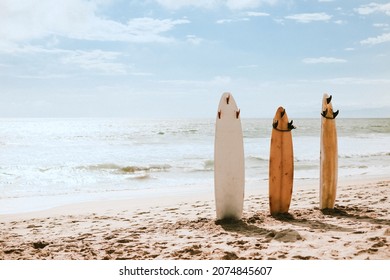 Summer wallpaper background surfboards at the beach, warm tone