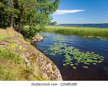 Summer water landscape at the granite bank of a river with water lilies and rush in sunbeams