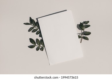 Summer Wedding Stationery Mock-up. Blank Greeting Card, Invitation And Dark Green Lentisk Leaves On Beige Table Background In Sunlight. Natural Light And Shadow Overlay. Flat Lay, Top View. 