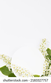 Summer White Circle Blank Pad For Text Template With White Bird Cherry Flowers Fly On White, Copy Space, Vertical. Romantic Floral Background For Advertising, Branding Identity, Greeting Card, Design.