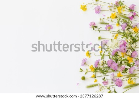summer wild flowers on white paper background